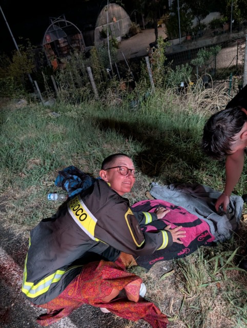Cucciolo di capriolo investito, salvo per miracolo grazie a due passanti