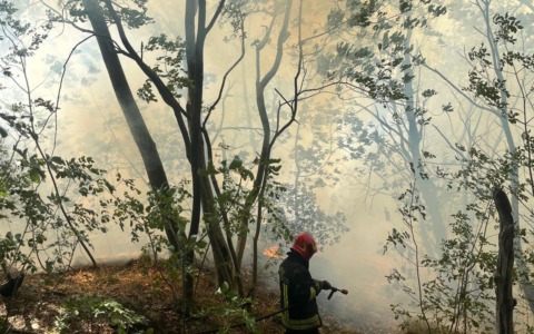 Brucia il Monte Goi, Vigili del fuoco in azione