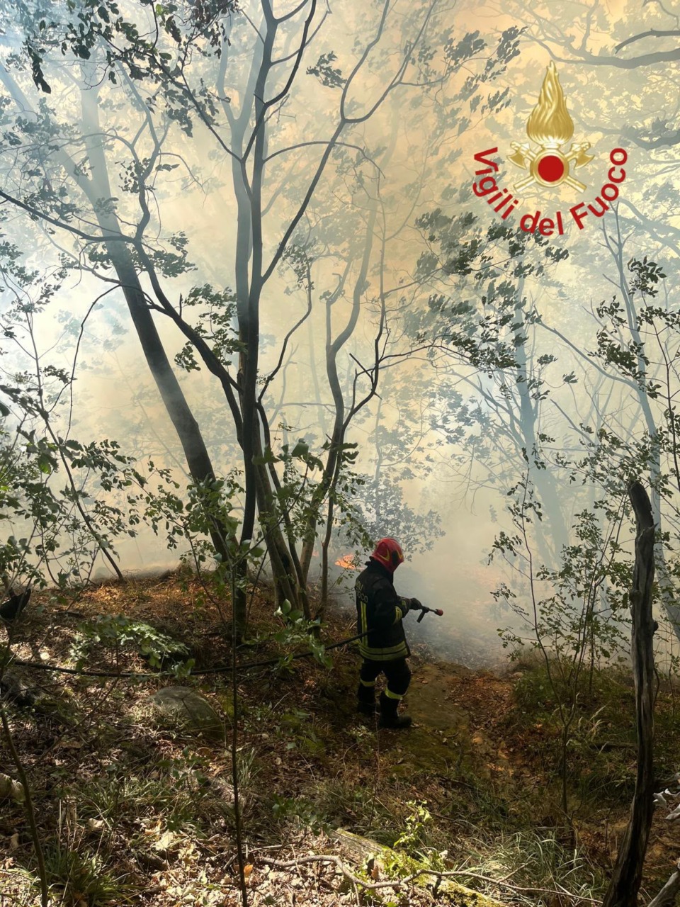 Brucia il Monte Goi, Vigili del fuoco in azione