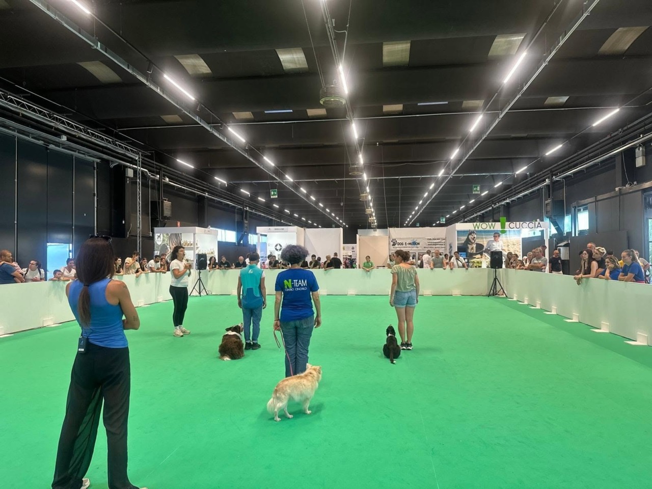 A Lariofiere va in scena WOW Lario 2026: sei fiere in un unico biglietto