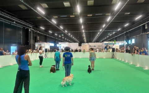 A Lariofiere va in scena WOW Lario 2026: sei fiere in un unico biglietto