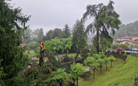 Tromba d’aria abbatte una dozzina di alberi: danni per 100mila euro