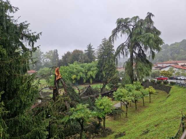 Tromba d’aria abbatte una dozzina di alberi: danni per 100mila euro