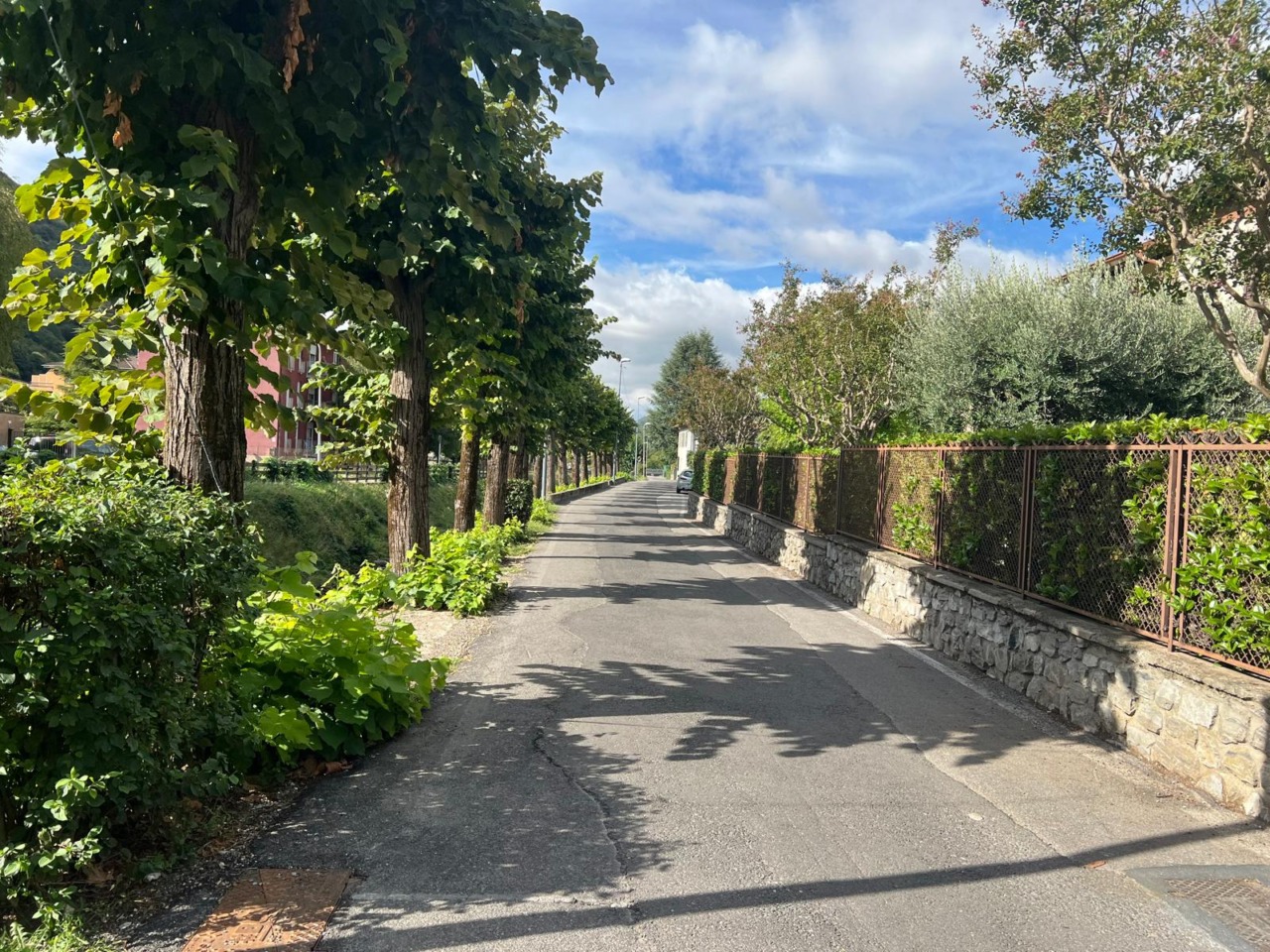 Strade dissestate, dal Comune 180mila euro per il rifacimento degli asfalti: priorità ai casi più urgenti