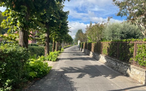 Strade dissestate, dal Comune 180mila euro per il rifacimento degli asfalti: priorità ai casi più urgenti