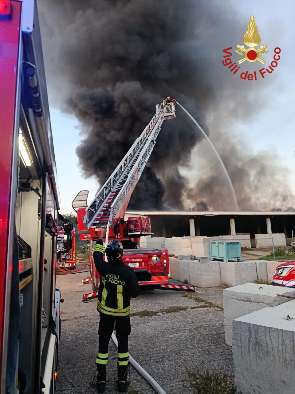 Devastante incendio distrugge azienda agricola