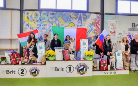 L’educatrice cinofila Melissa e la sua Krystal sul tetto d’Europa