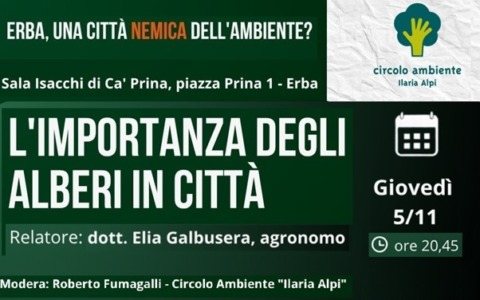 “L’importanza degli alberi in città”, se ne parla ad Erba con il Circolo Ambiente “Ilaria Alpi”