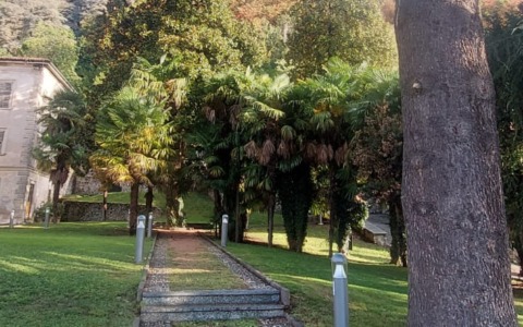 Villa Manusardi ancora nel mirino dei vandali: bruciata una delle palme del parco
