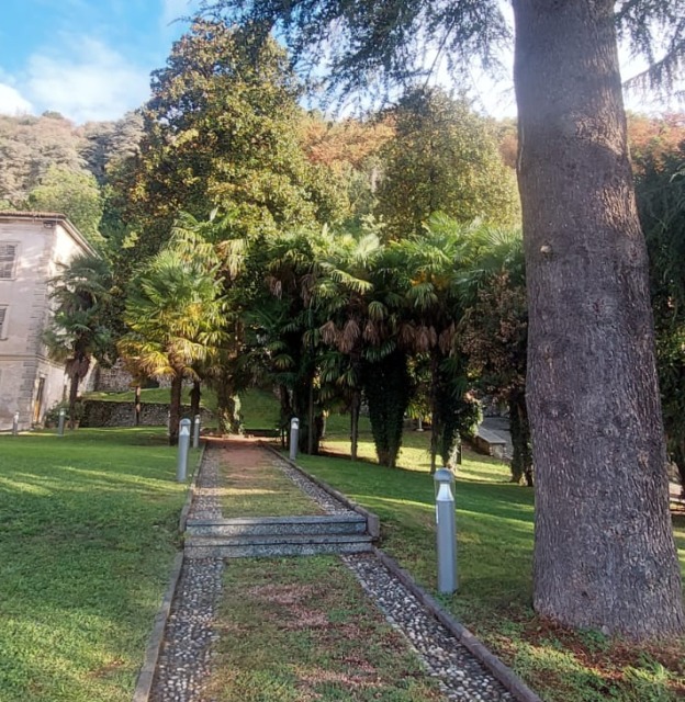 Villa Manusardi ancora nel mirino dei vandali: bruciata una delle palme del parco