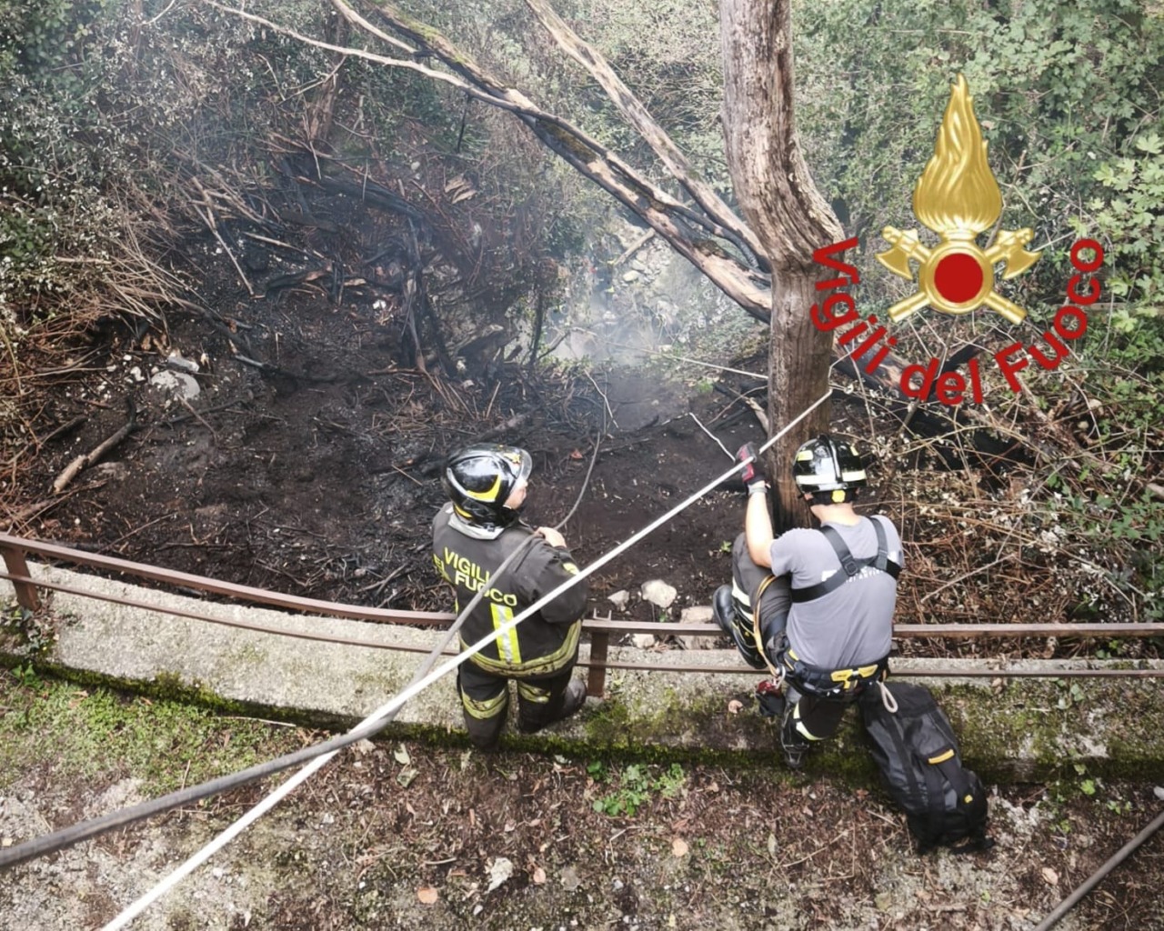 Incendio nei boschi: danneggiati circa 100 metri quadri di vegetazione