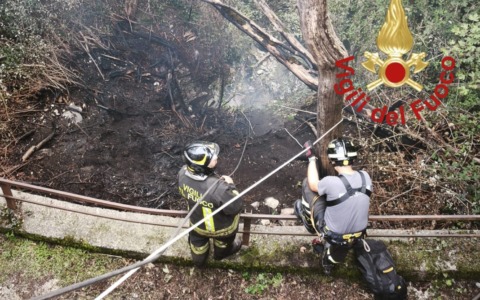 Incendio nei boschi: danneggiati circa 100 metri quadri di vegetazione